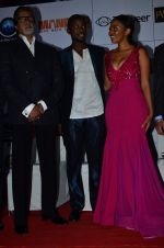 Amitabh Bachchan, Idris Elba, Terry Pheto at Mandela Long walks to freedom screening in PVR, Mumbai on 22nd Jan 2014
